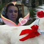 Profil de Maud, 54 ans, Cougare à Niederwil AG (Argovie)