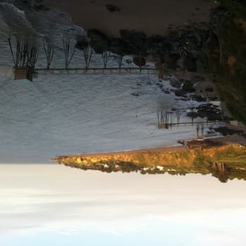 Profil de Amal, 42 ans, Cougare à Blessens (Fribourg)